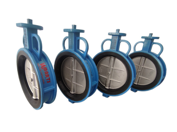 concentric-butterfly-valve1
