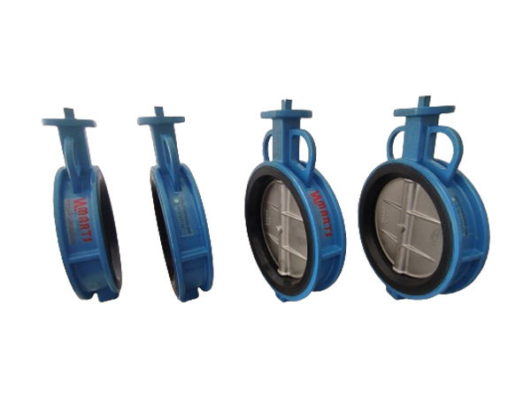 concentric-butterfly-valve2